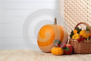 Happy Thanksgiving day. Composition with pumpkins and berries on wooden table. Space for text