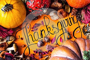 Happy Thanksgiving Day holiday background postcard concept cornucopia full harvest fruit vegetable Hand drawn greeting card autumn