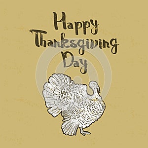 Happy Thanksgiving Day, outline cartoon turkey with text on baige background