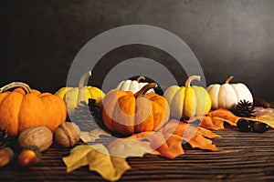 Happy Thanksgiving Day with pumpkin and nut on wooden table