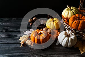 Happy Thanksgiving Day with pumpkin and nut on wooden table