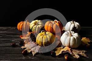 Happy Thanksgiving Day with pumpkin and nut on wooden table