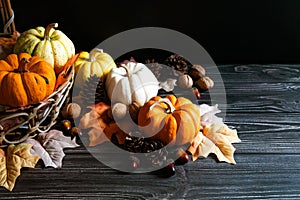 Happy Thanksgiving Day with pumpkin and nut on wooden table