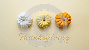 Happy Thanksgiving Day with pumpkin and nut on yellow background