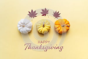 Happy Thanksgiving Day with pumpkin and nut on yellow background