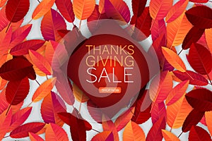 Happy Thanksgiving Day sale poster.  Background with red and orange fall leaves. American traditional november holiday. Banner for