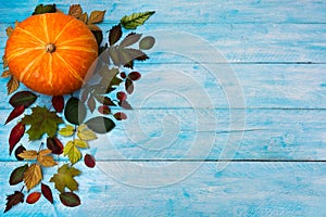 Happy Thanksgiving with fall leaves on blue background