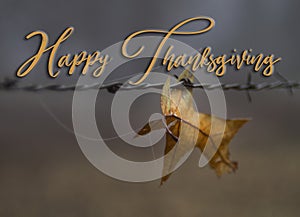 Happy Thanksgiving with golden oak leaf