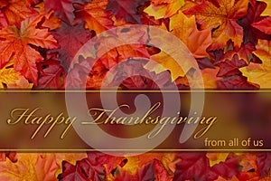 Happy Thanksgiving Greeting