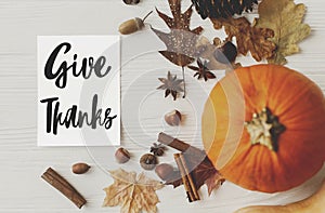 Happy Thanksgiving greeting card. Give Thanks text handwritten on greeting card with pumpkin, autumn leaves, anise, pine cones,