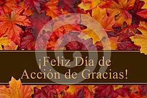 Happy Thanksgiving Greeting in Spanish photo