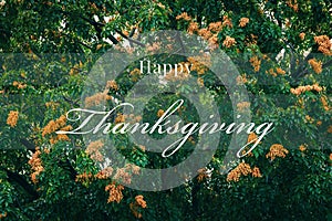 Happy thanksgiving greeting text card Autumn theme