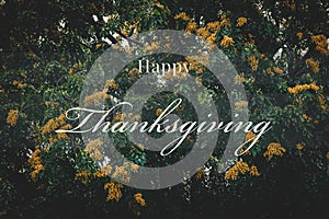 Happy thanksgiving greeting text for poster or postcard, Autumn theme with dark matte tone