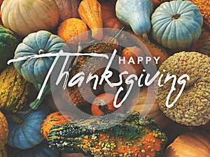 Happy Thanksgiving handwritten script text with pumpkins, squash and gourds colorful background texture