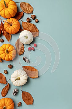 Happy Thanksgiving holiday background from autumn foliage, pumpkins and fall decorations vertical top view