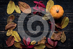 Happy Thanksgiving. Pumpkin and fallen leaves on dark wooden background. Autumn vegetables and seasonal decorations.