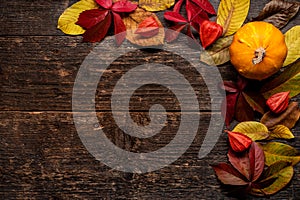 Happy Thanksgiving. Pumpkin and fallen leaves on dark wooden background. Autumn vegetables and seasonal decorations.