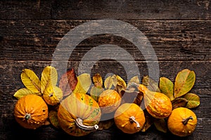 Happy Thanksgiving. Pumpkin and fallen leaves on dark wooden background. Autumn vegetables and seasonal decorations.