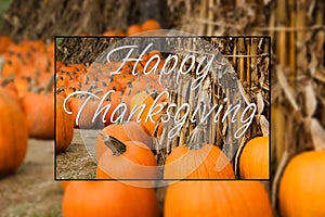 Happy thanksgiving pumpkin patch