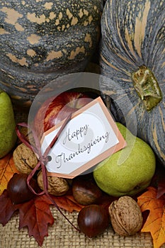 Happy Thanksgiving Pumpkin in Rustic Setting.