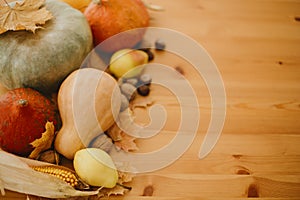 Happy Thanksgiving. Pumpkins, autumn leaves, walnuts, chestnuts, corn, apple and pear on rustic wooden table in sunny room. Autumn