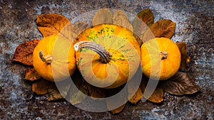 Happy Thanksgiving. Pumpkins and fallen leaves on dark retro background. Autumn and seasonal decorations.