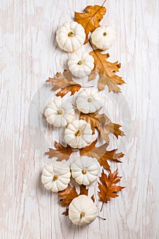Happy thanksgiving - still life with white pumpkins and autumn leaves on white