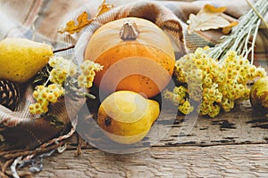 Happy Thanksgiving. Stylish pumpkin, autumn leaves, flowers, pears and cozy blanket on rustic old wooden background. Rural fall