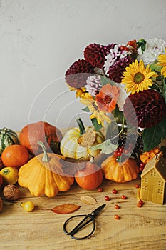 Happy Thanksgiving! Stylish pumpkins, autumn flowers, berries, leaves, candle, scissors on rustic wooden table in room.