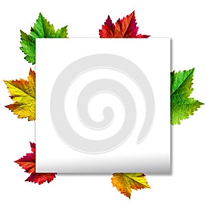 Happy Thanksgiving with text greeting and autumn leaves .Photo of Grapes green leaves wreath