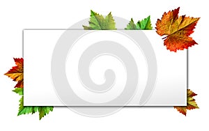 Happy Thanksgiving with text greeting and autumn leaves .Photo of Grapes green leaves wreath