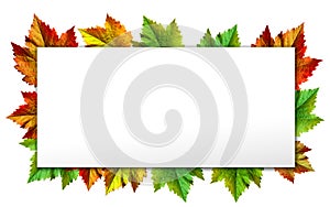 Happy Thanksgiving with text greeting and autumn leaves .Photo of Grapes green leaves wreath