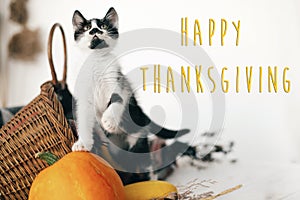 Happy Thanksgiving text, seasons greeting card. Thanksgiving sign. Cute kitty, pumpkin, wicker basket on wooden background. Cat