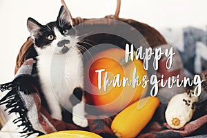 Happy Thanksgiving text, seasons greeting card. Thanksgiving sign. Cute kitty, pumpkin, wicker basket on wooden background. Cat