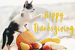 Happy Thanksgiving text, seasons greeting card. Thanksgiving sign. Cute kitty, pumpkin, wicker basket on wooden background. Cat