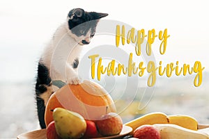 Happy Thanksgiving text, seasons greeting card. Thanksgiving sign. Cute kitty, pumpkin, wicker basket on wooden background. Cat