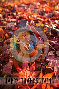 Happy Thanksgiving text vivid red autumn leaves background in morning light and turkey