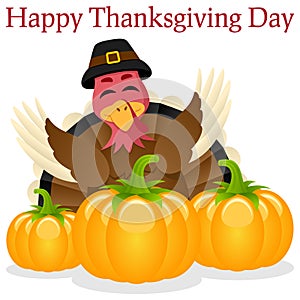 Happy Thanksgiving Turkey and Pumpkins