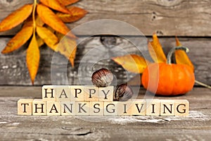 Happy Thanksgiving wooden blocks against rustic wood with autumn leaves