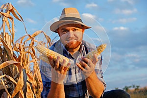 Happy time of young farmer smiling and holding corn cob in two hands at corn field. Agriculture concept.