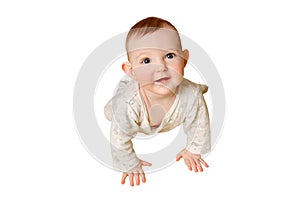 Happy toddler baby crawling, isolated on a white background. Funny ch