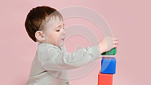 Happy toddler baby plays with cubes on studio pink background. Child