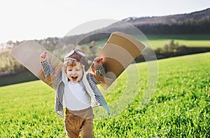 Happy toddler boy with wings playing outside in spring nature.