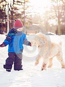 Happy toddler boy running and playing with white dog outdoors in winter day