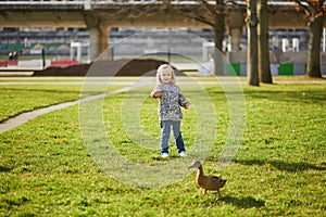 Happy toddler girl running and chasing ducks in Andre-Citroen Park of Paris