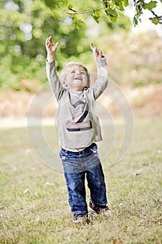 Happy toddler reaching up