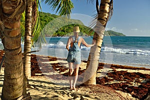 Playa Rincon beach on Dominican Republic