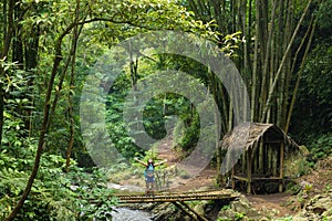 Happy tourist woman trekking in Bali jungle