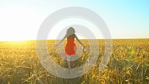 Happy traveler young hispanic beautiful woman running on wheat field in sunset summer. Freedom health happiness tourism