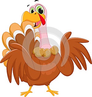 Happy turkey cartoon